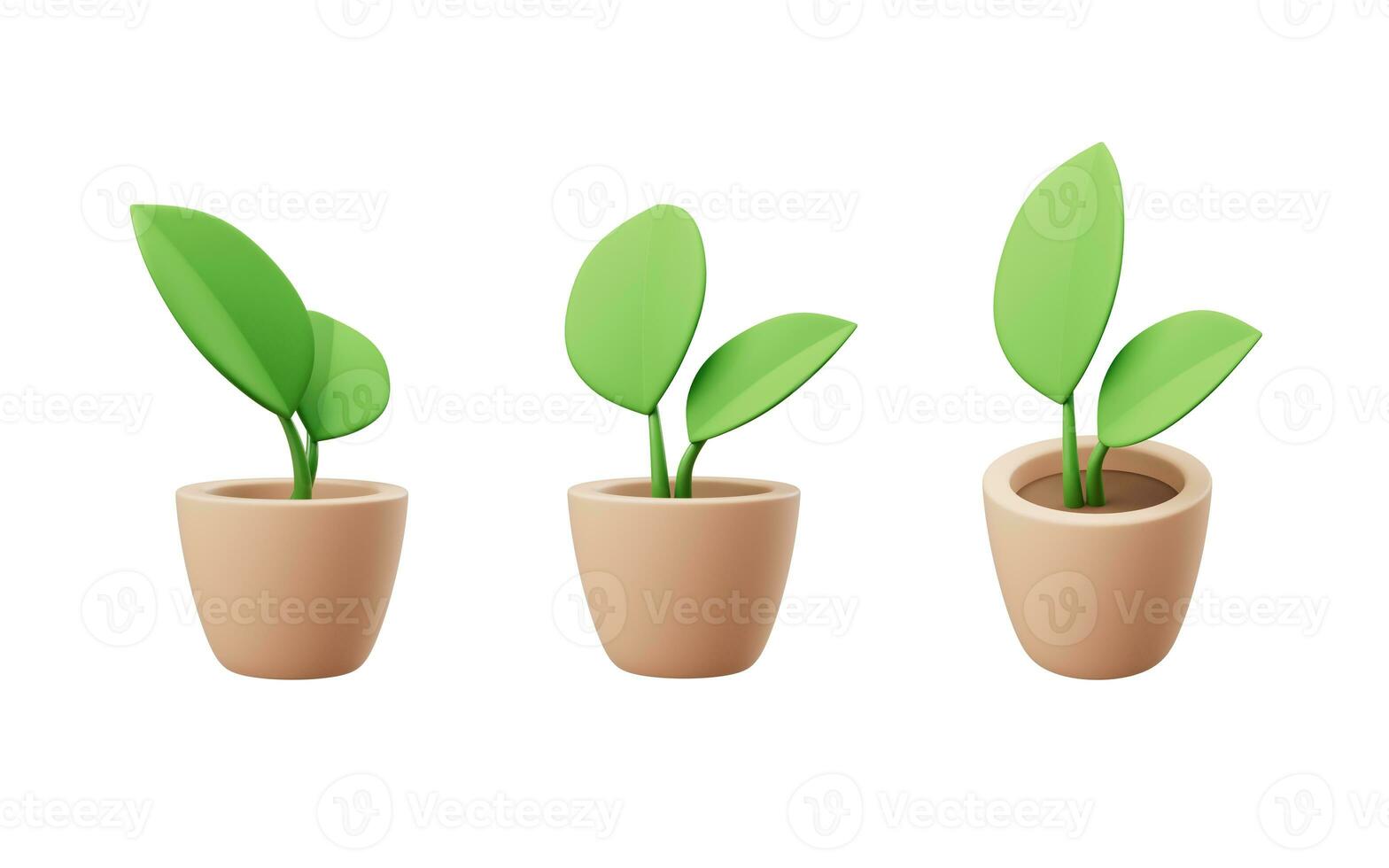 Cartoon style potted plant, 3d rendering. photo