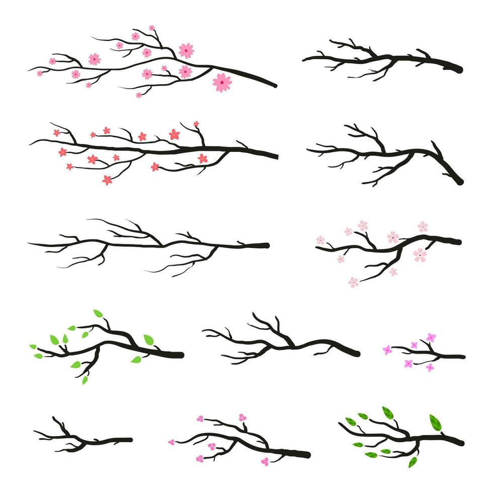 Collection of tree twigs and branches. vector