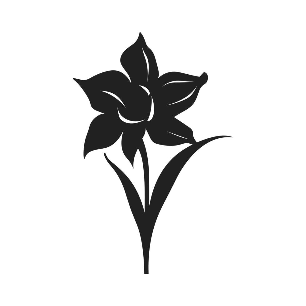 A Daffodil Flower Black Silhouette Vector free