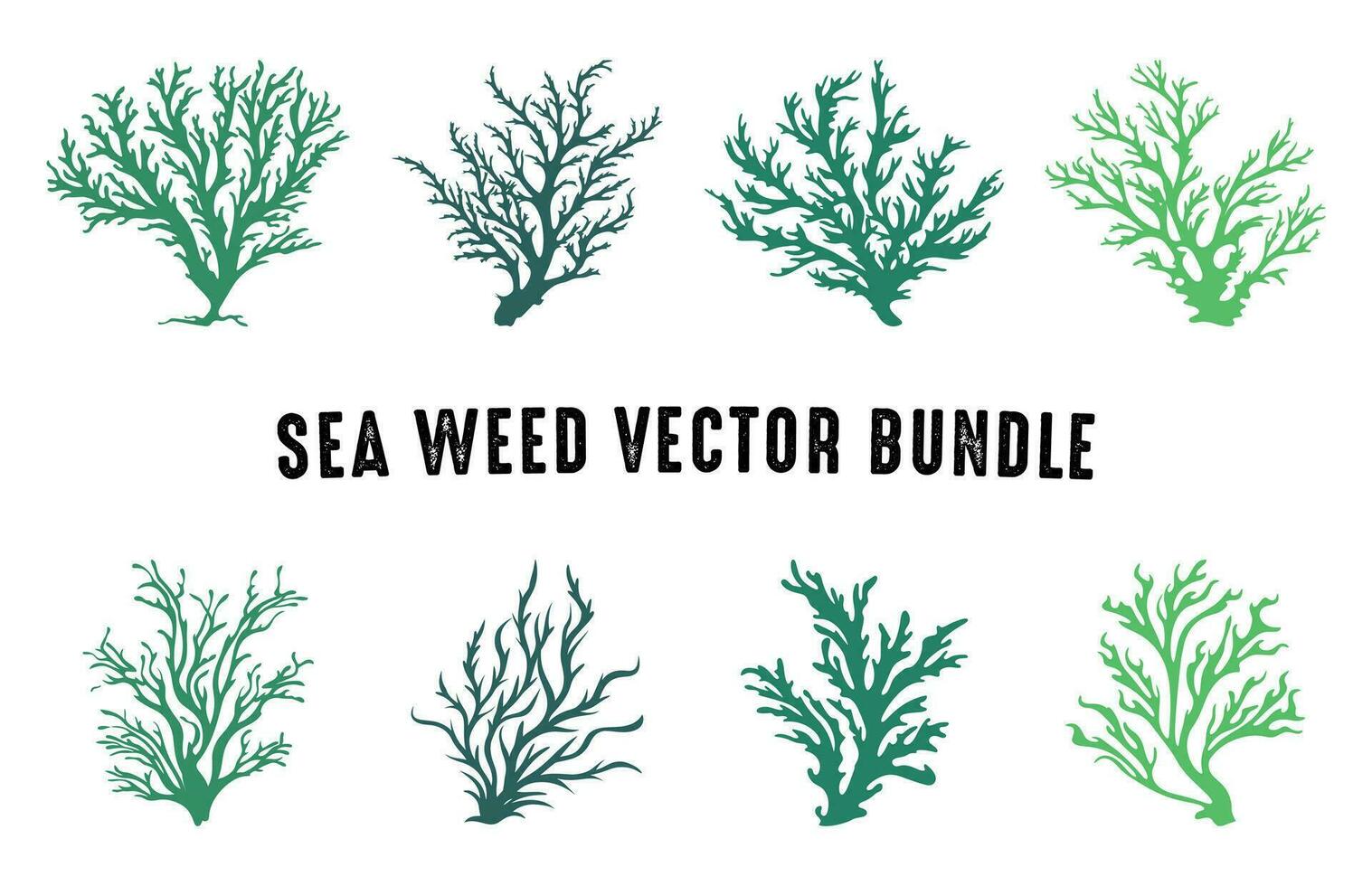 Colored seaweed vector Set, Seaweed silhouette Collection, Sea coral silhouettes clipart bundle