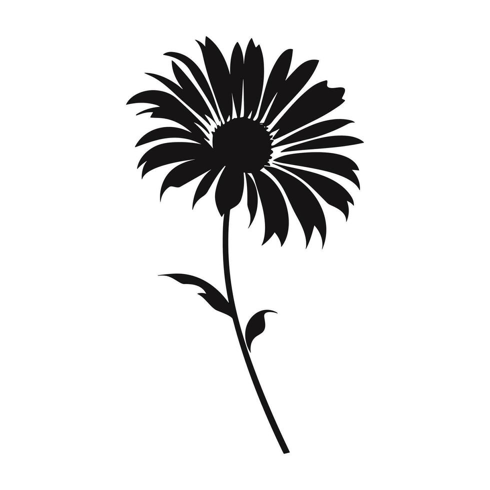 An Aster Flower black Silhouette Vector free