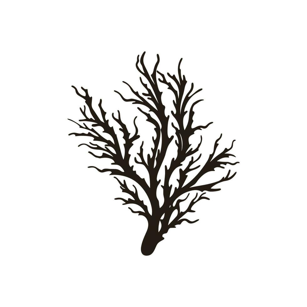 A Seaweed vector silhouette isolated on a white background, A silhouette of a Sea coral Vector