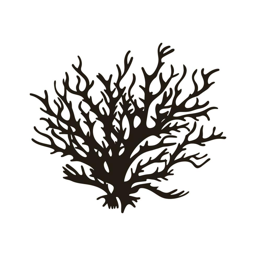 A Seaweed vector silhouette isolated on a white background, A silhouette of a Sea coral Vector