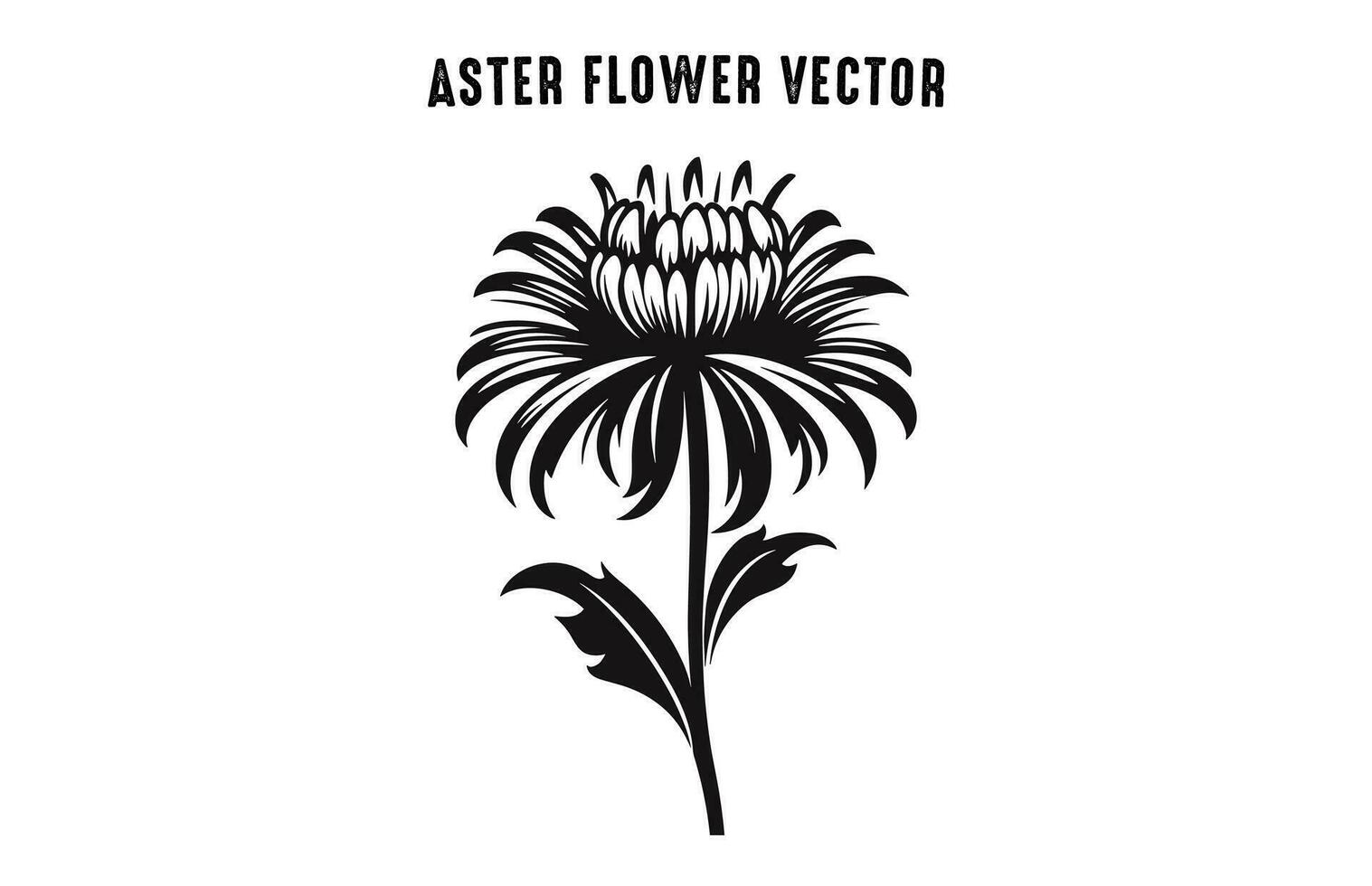 Aster Flower Silhouette Vector set, Aster Flowers Clipart Bundle