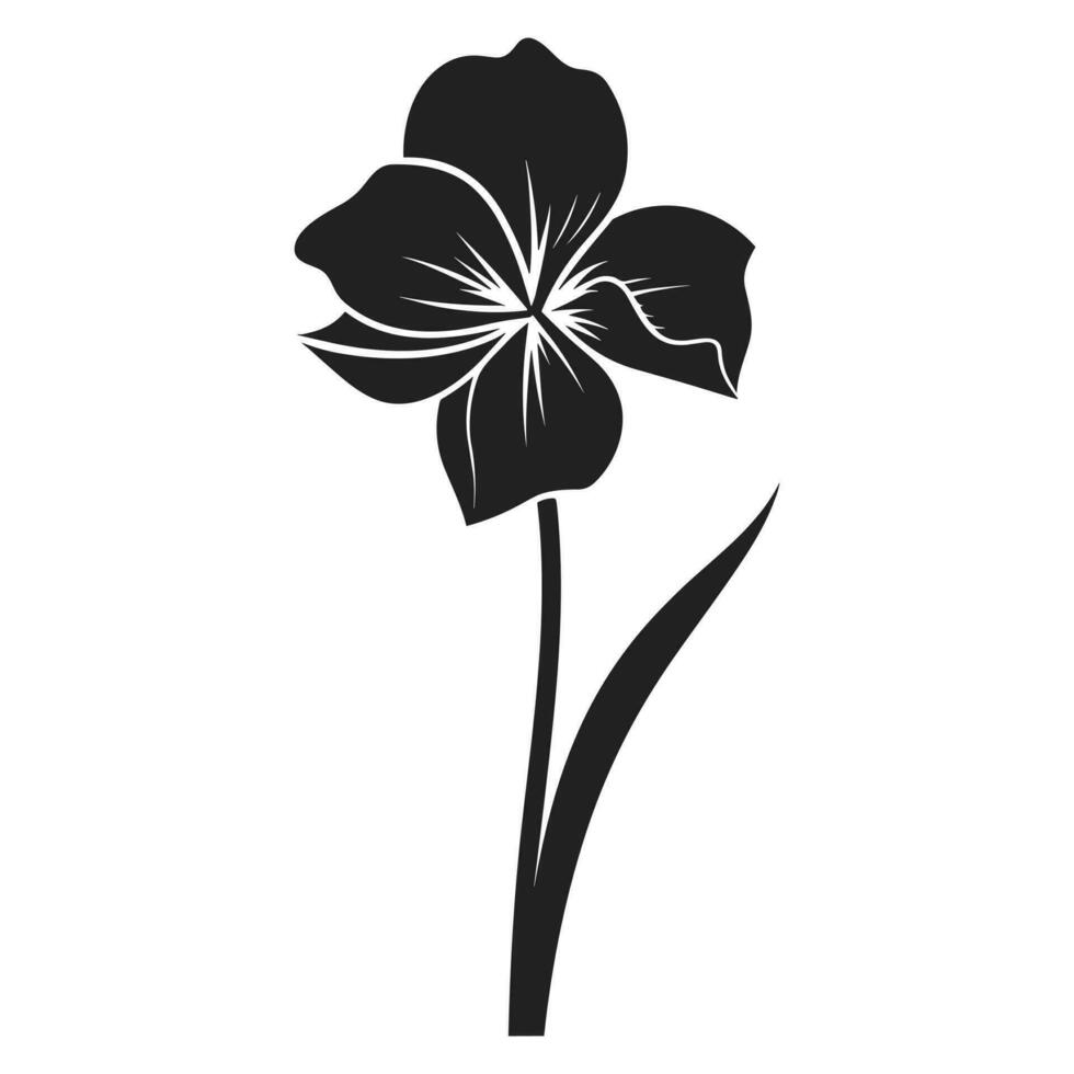 A Daffodil Flower Silhouette Vector isolated on a white background