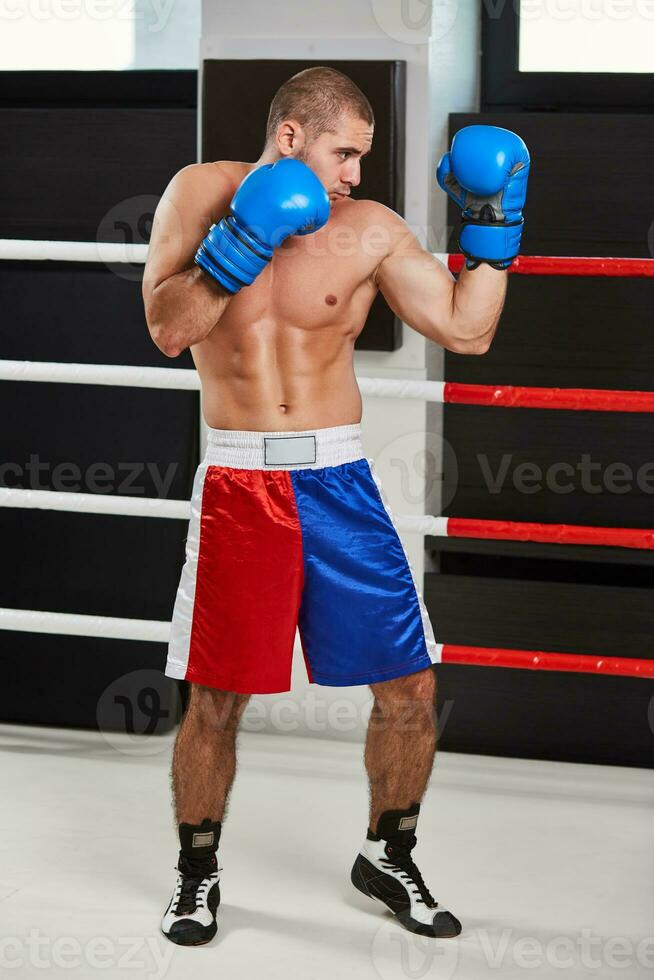Boxer en azul guantes calentamiento arriba en el anillo foto