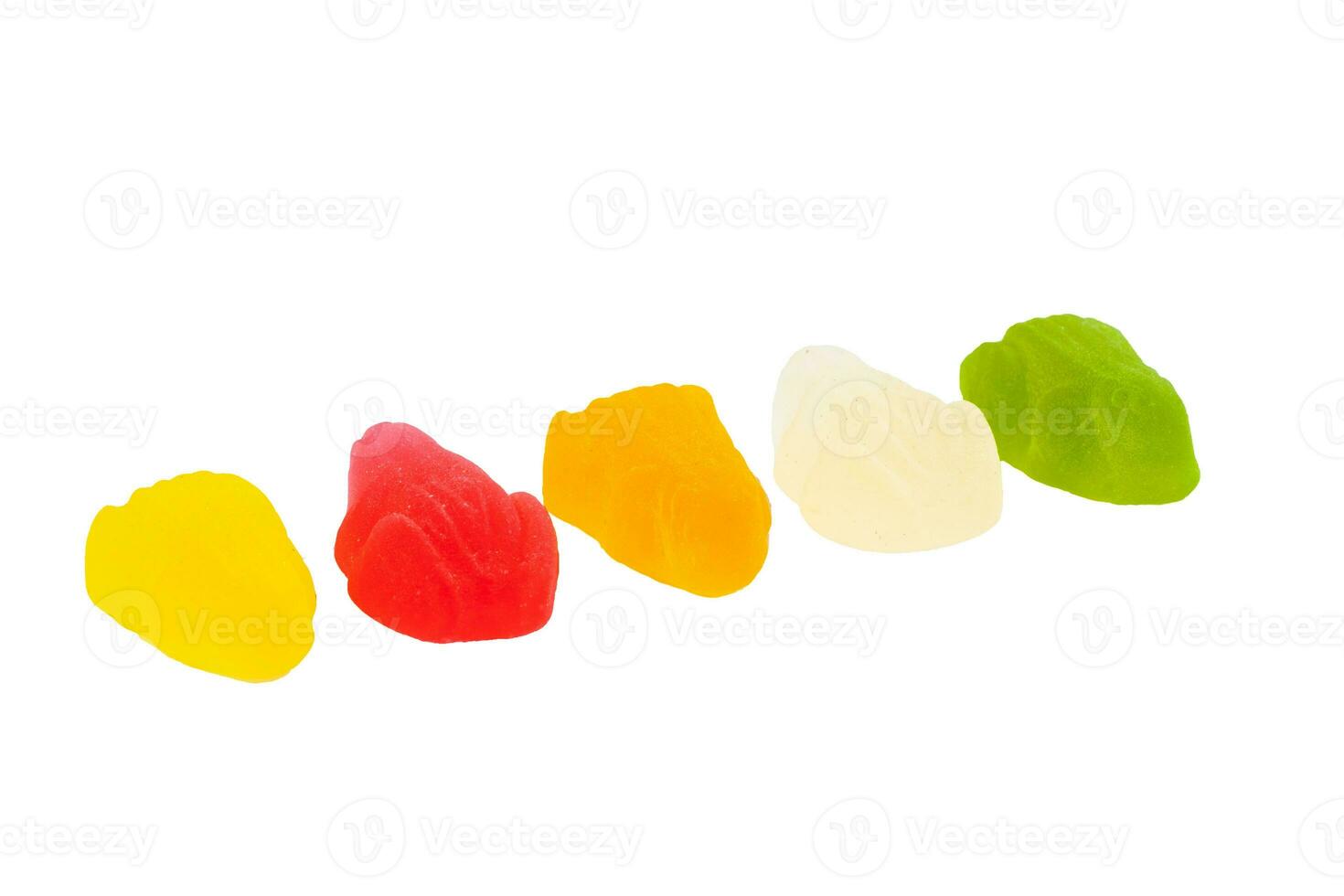 Multicolored gummy frogs arranged in line isolated on white photo