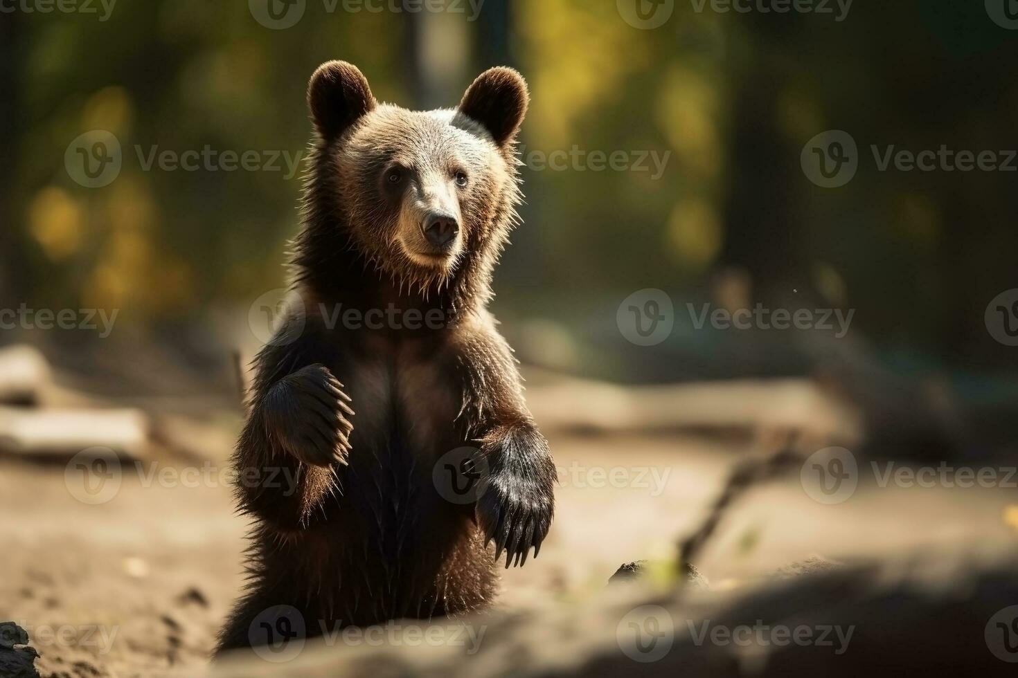 AI generated Bear cub in nature on summer forest background. Ai generated photo