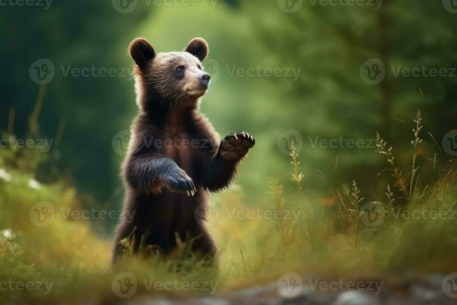 AI generated Bear cub in nature on summer forest background. Ai generated photo