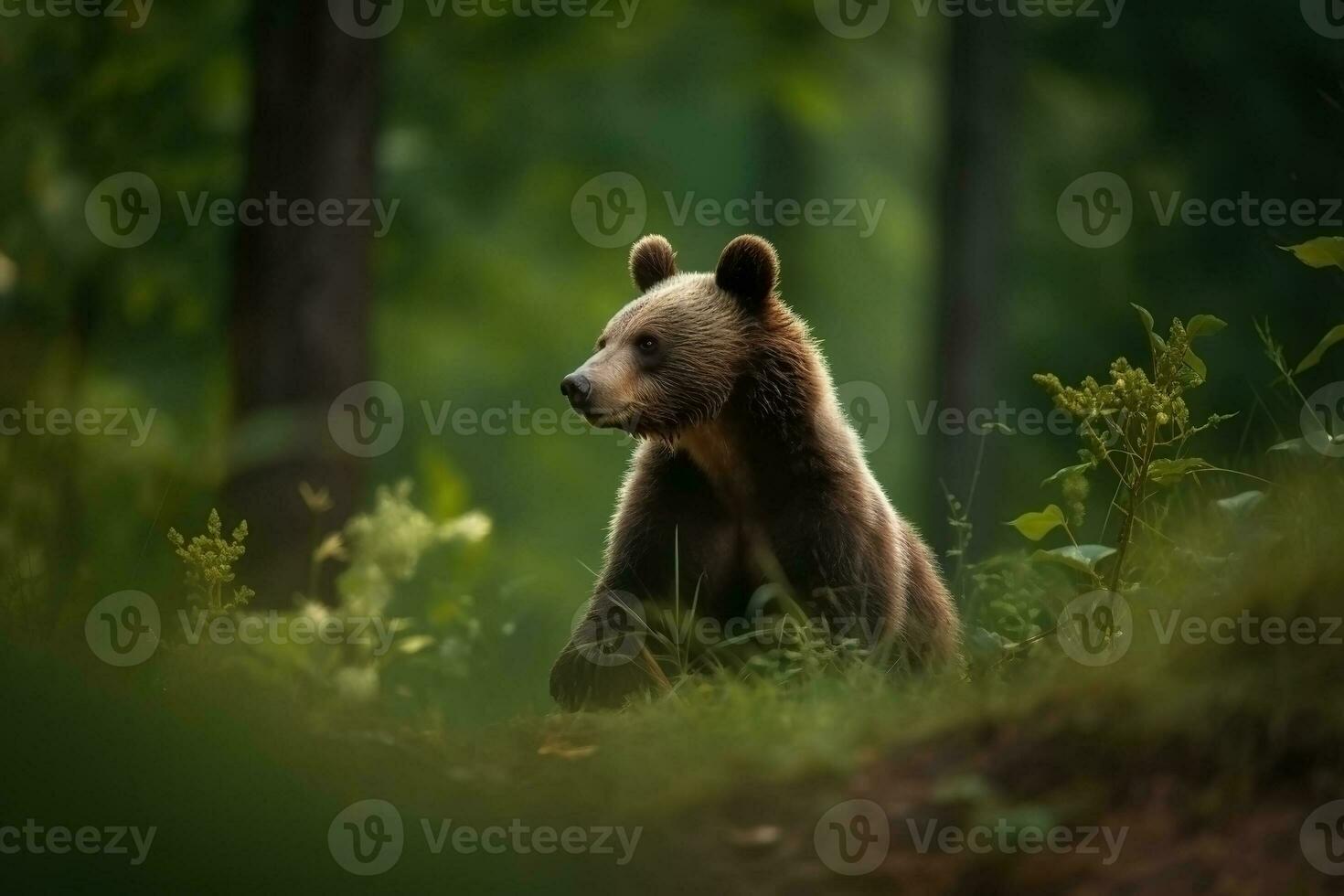 AI generated Bear cub in nature on summer forest background. Ai generated photo