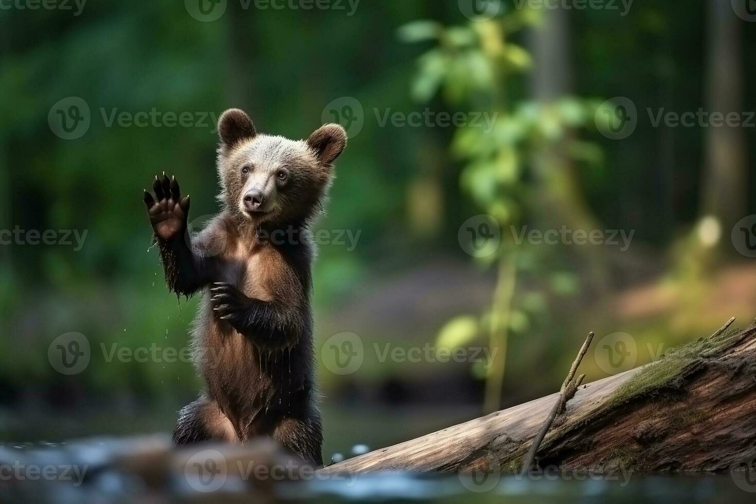 AI generated Bear cub in nature on summer forest background. Ai generated photo