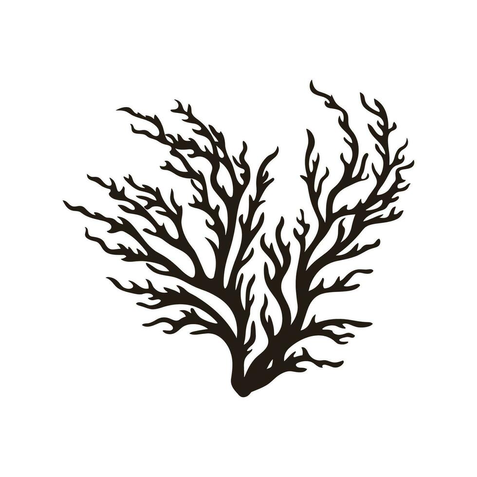 A Seaweed vector silhouette isolated on a white background, A silhouette of a Sea coral Vector