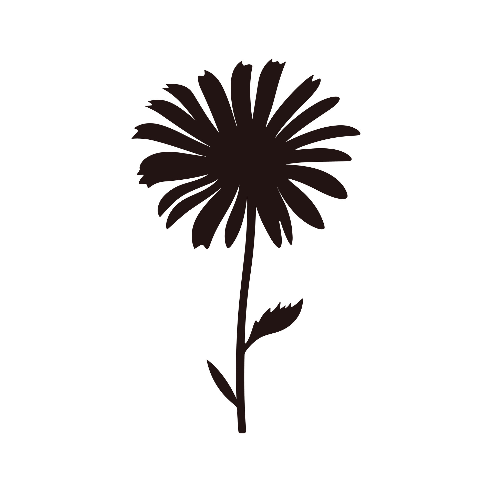 Daisy Flower Silhouette Vector isolated on a white background 35353536