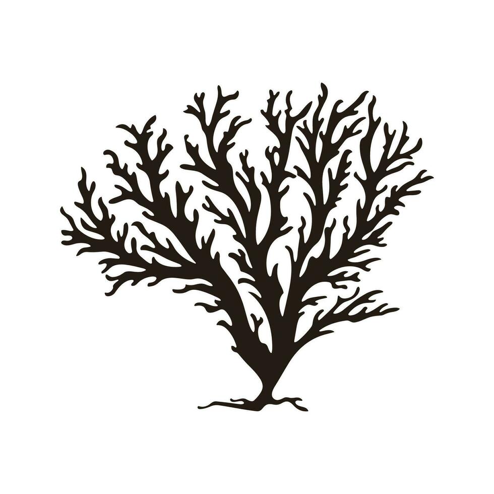 A Seaweed vector silhouette isolated on a white background, A silhouette of a Sea coral Vector