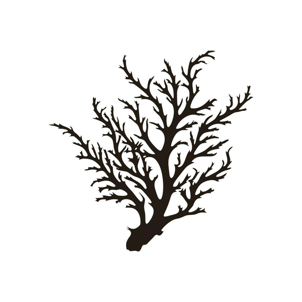 A Seaweed vector silhouette isolated on a white background, A silhouette of a Sea coral Vector