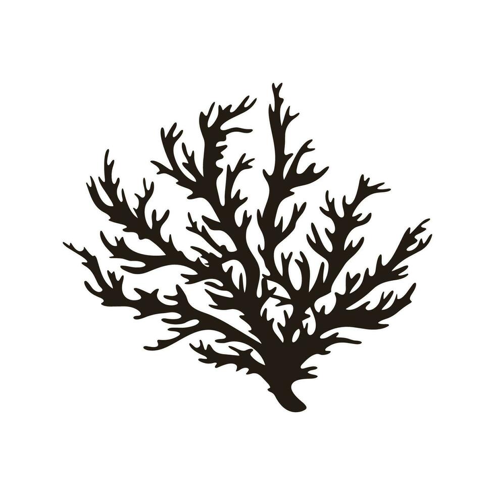 A Seaweed vector silhouette isolated on a white background, A silhouette of a Sea coral Vector