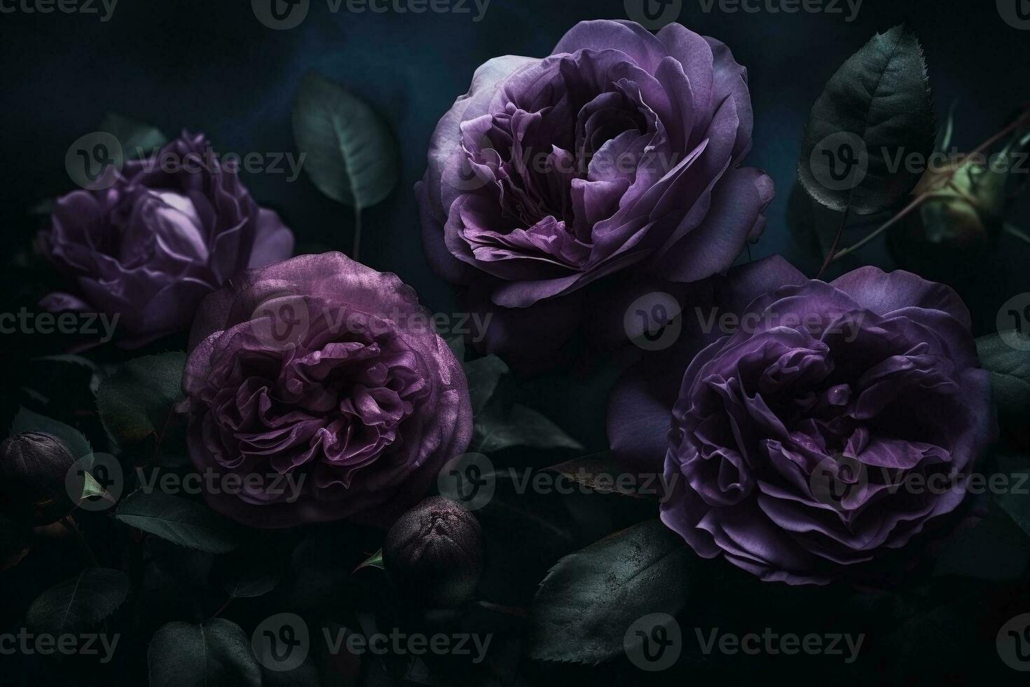 AI generated Purple roses close-up dark romantic background. Flowers wallpaper. Ai generated photo