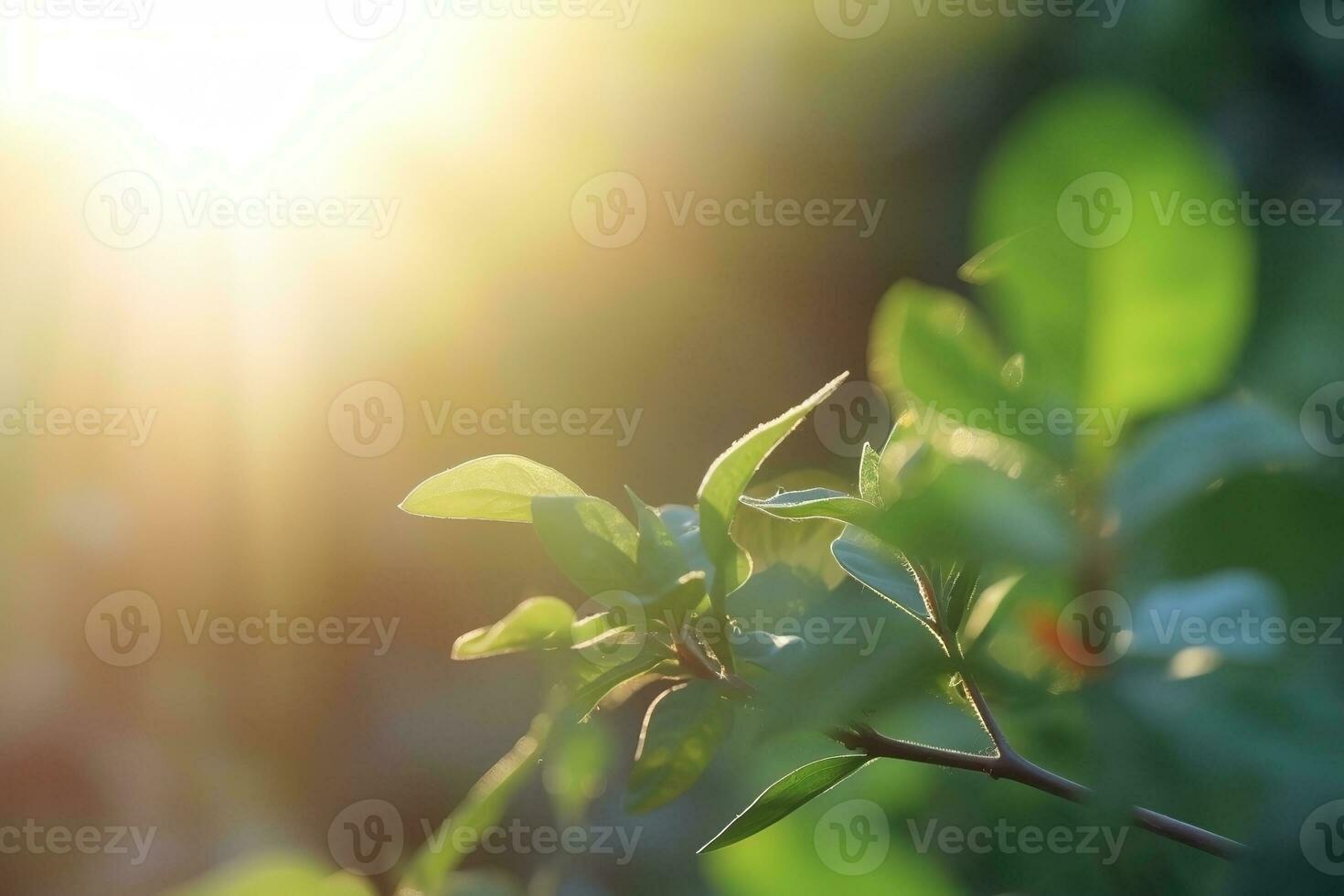 AI generated Branch with green leaves in sunlight, bokeh effect. Summer background. Ai generated photo