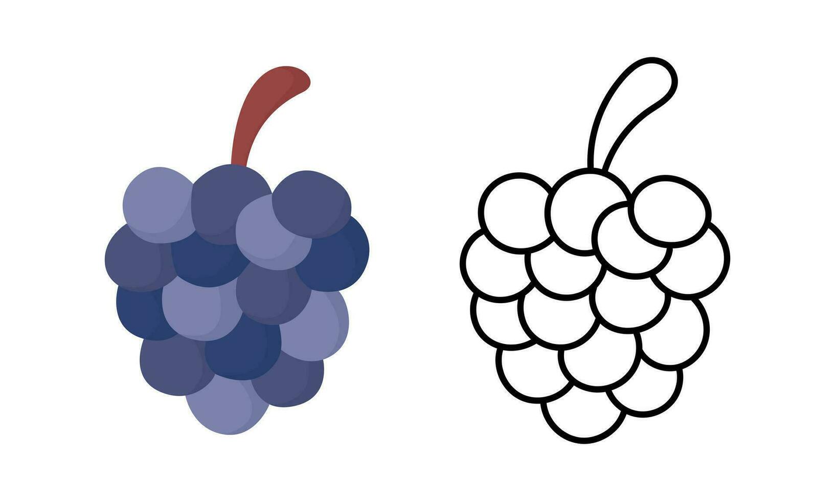 hand drawn and illustration of grapes vector