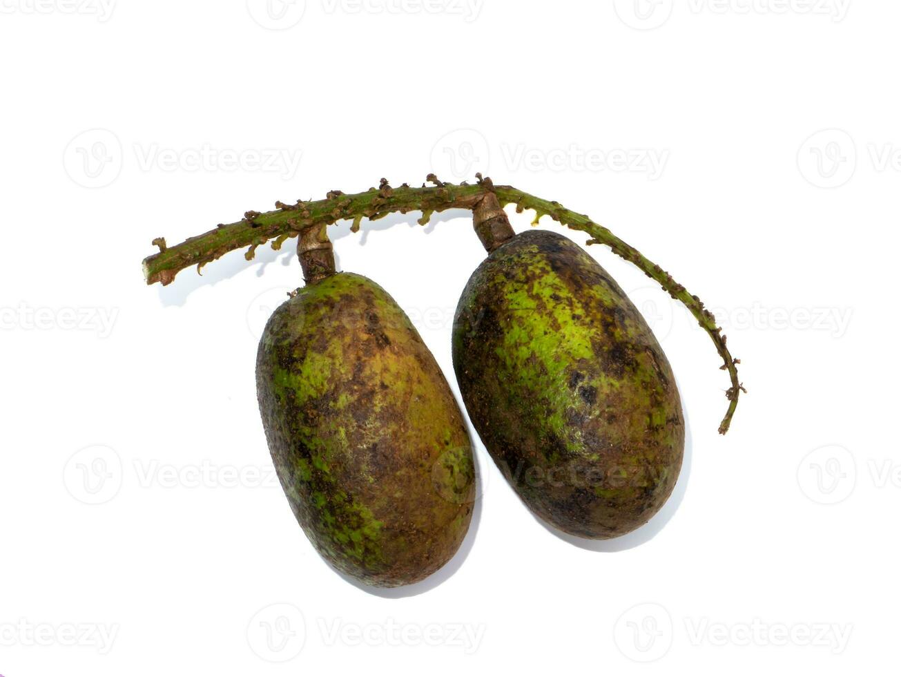 Close up of matoa, taun tree, island lychee, tava, Pacific lychee fruit on white background with soft shadow. photo