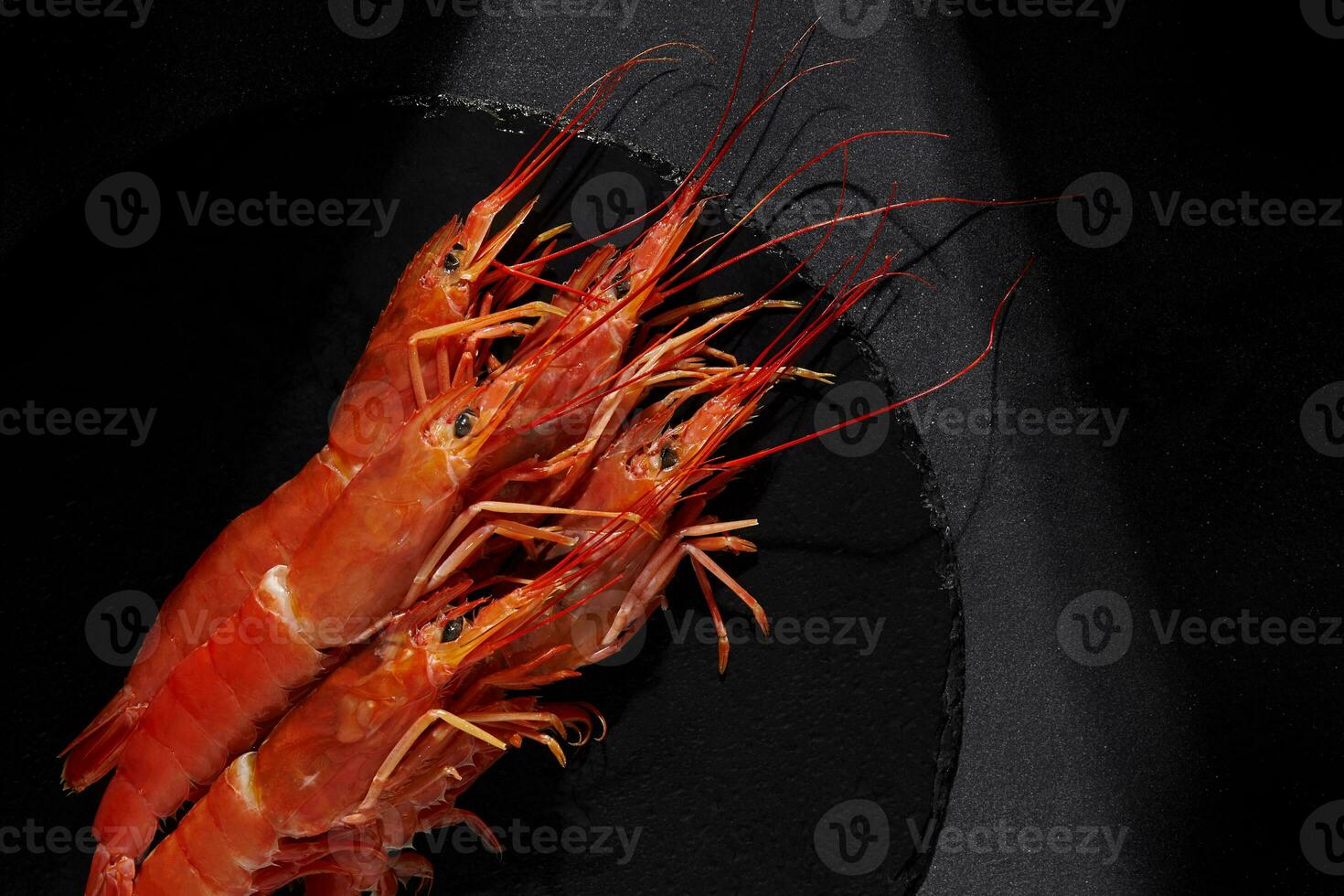 Whole red prawns on black background with spotlight effect photo