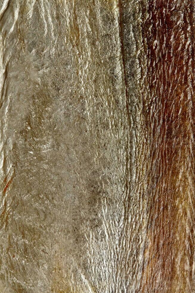 Closeup of silvery skin of salted air-dried sabrefish photo