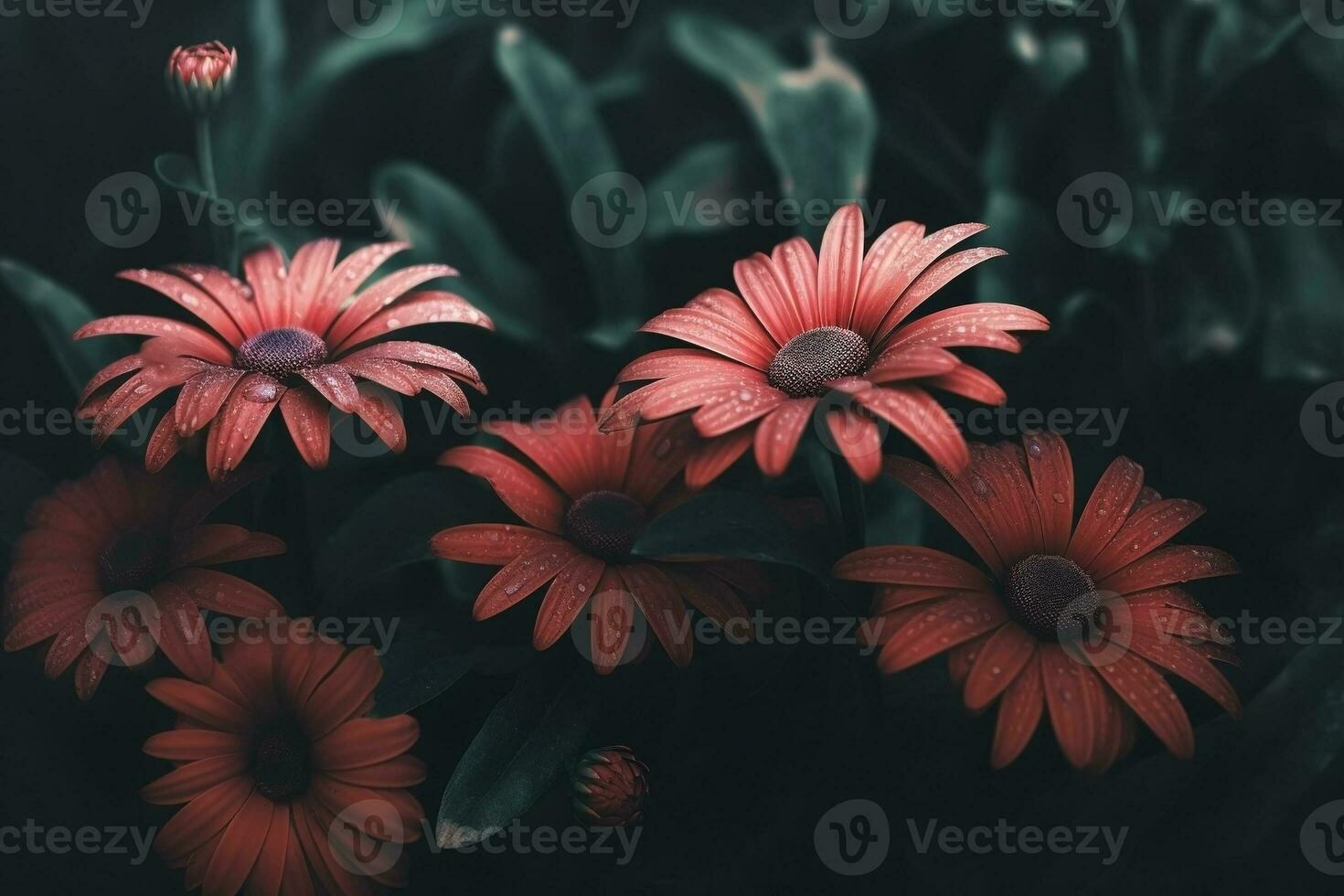 AI generated Flowers close-up dark romantic background. Flowers wallpaper. Ai generated photo