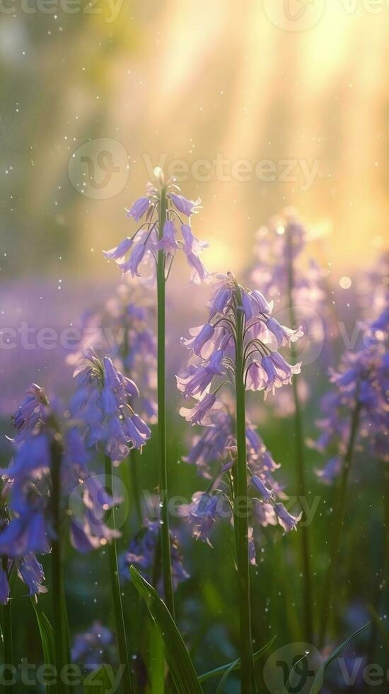 AI generated Blooming bluebell flowers with drops of water close-up background. Spring wallpaper. Ai generated photo