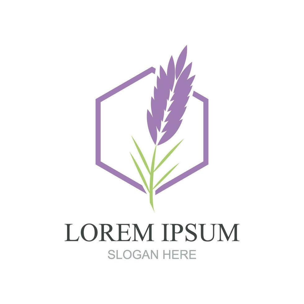 Lavender Logo Template vector symbol nature