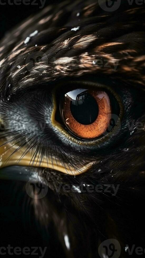 AI generated Closeup hawk eye, portrait of animal on dark background. Ai generated photo