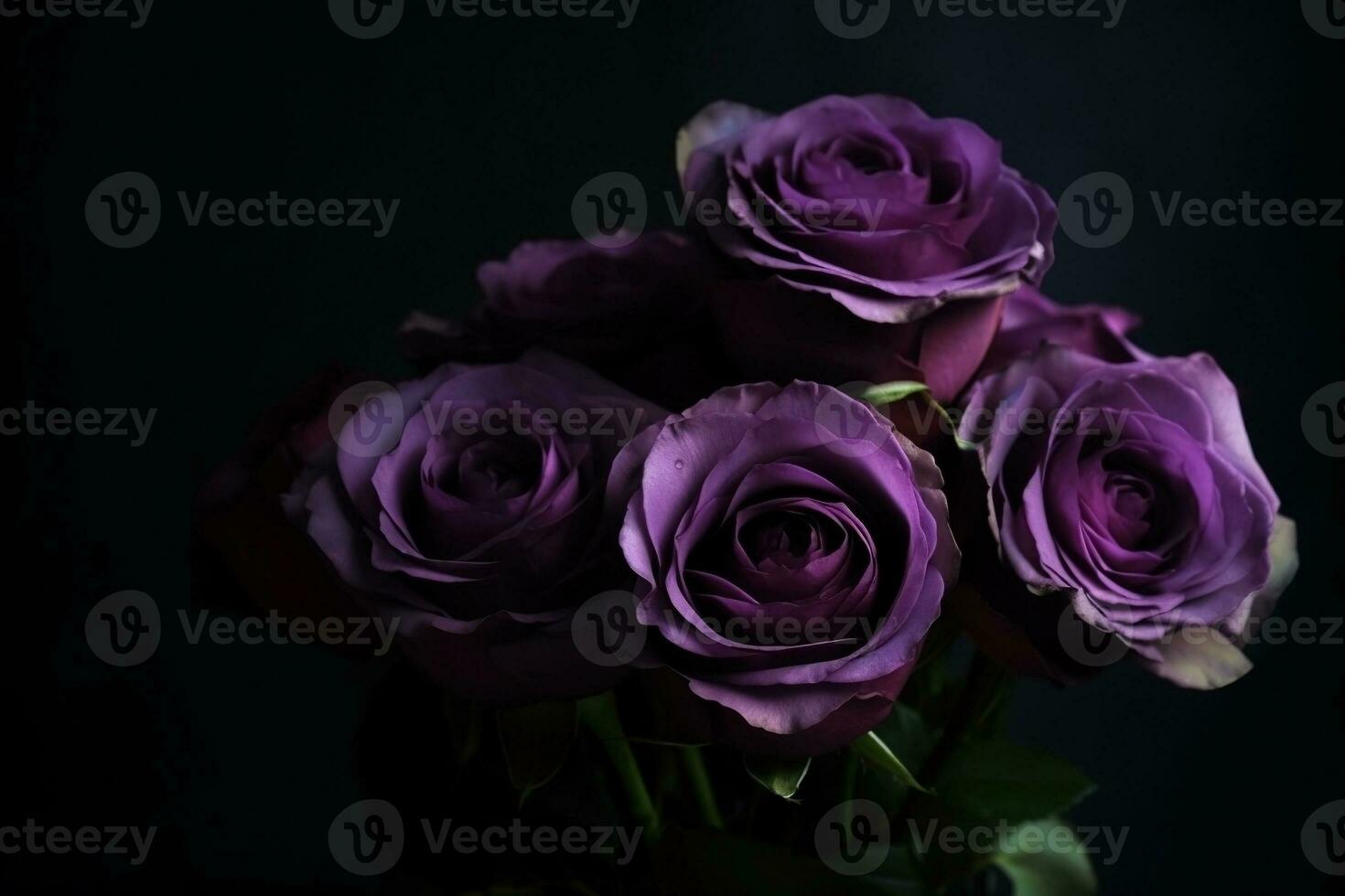 AI generated Purple roses dark moody romantic background. Close-up flowers card backdrop. Ai generated photo