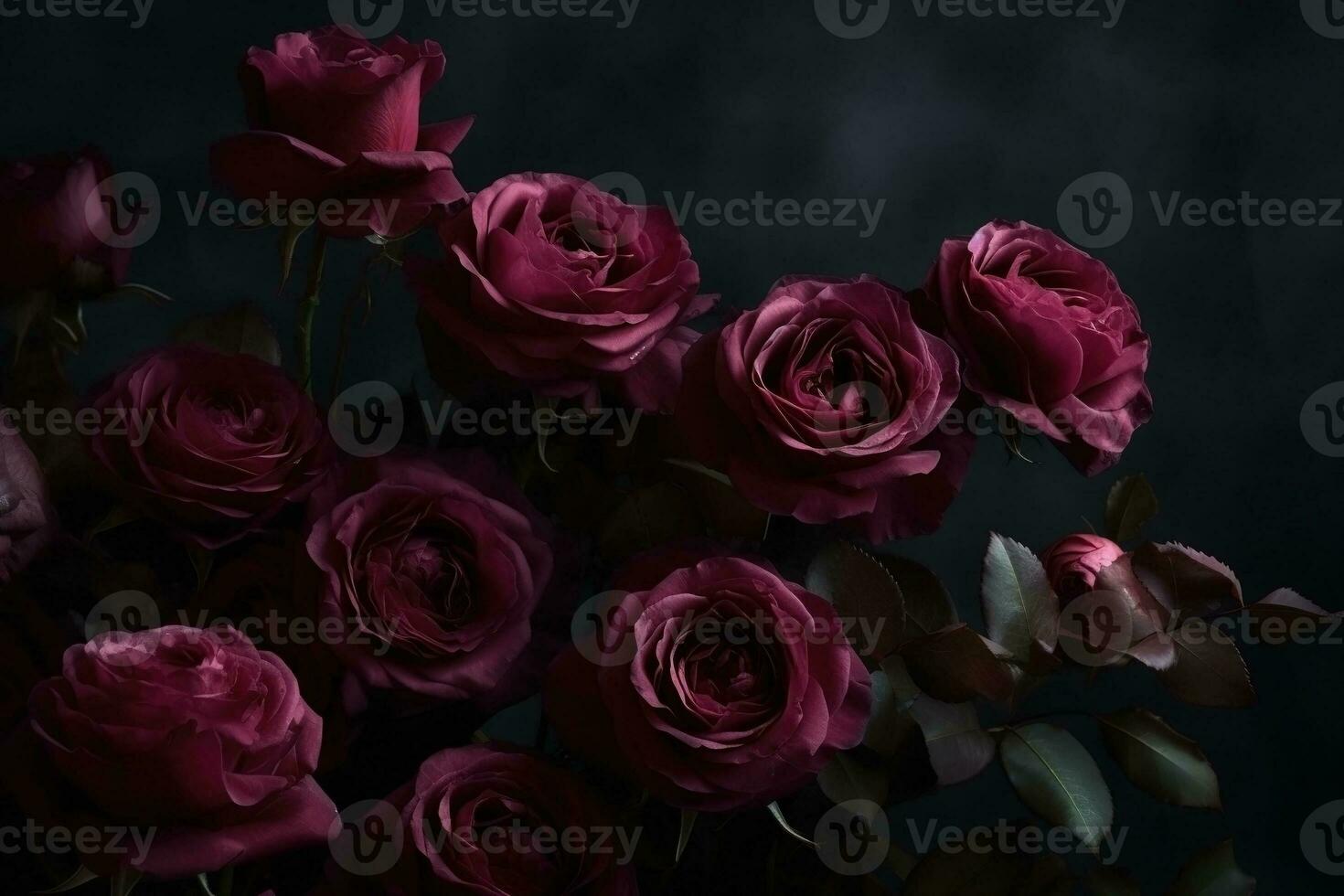 AI generated Pink roses dark moody romantic background. Close-up flowers card backdrop. Ai generated photo