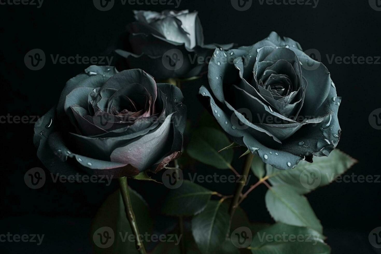 AI generated Black roses dark moody romantic background. Close-up floral banner. Ai generated photo