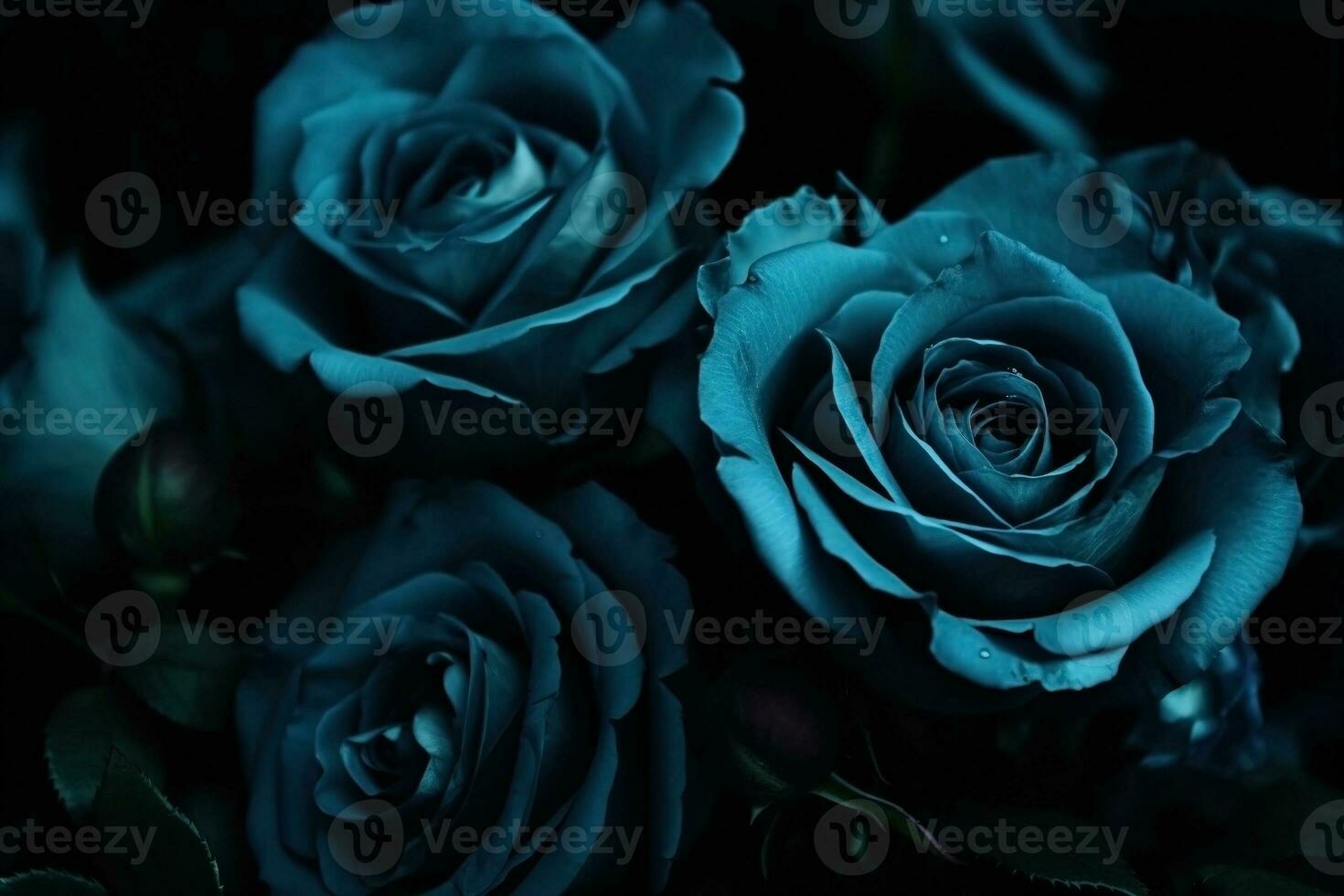 AI generated Blue roses dark moody romantic background. Ai generated photo