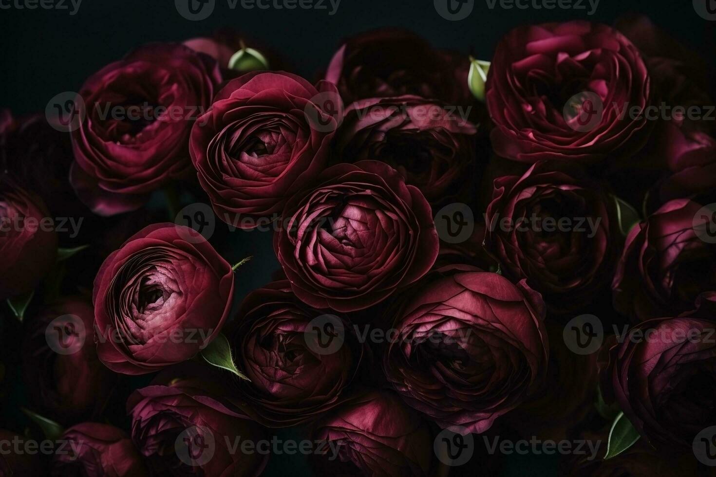 AI generated Pink roses dark moody romantic background. Close-up flowers card backdrop. Ai generated photo