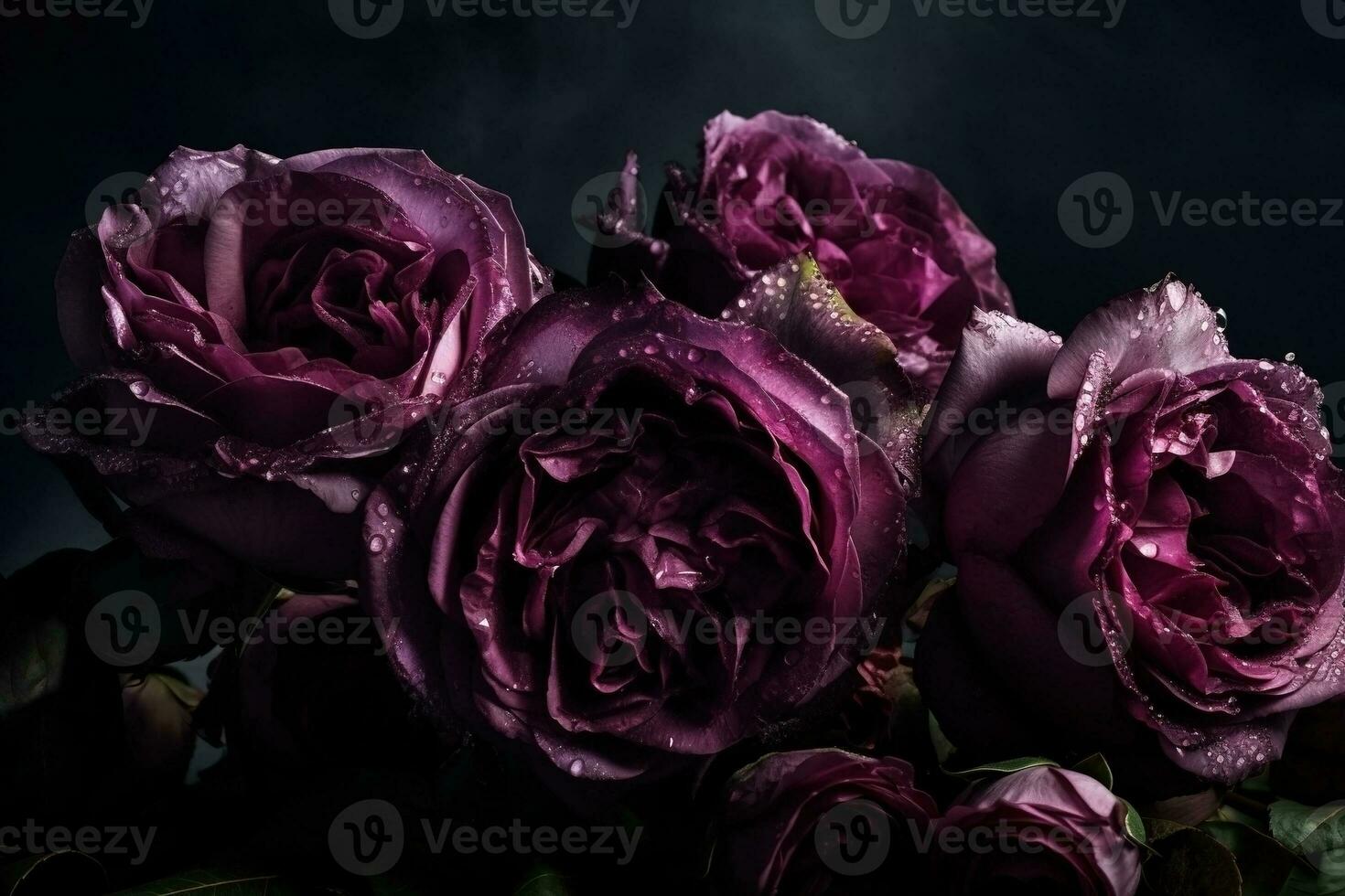 ai generado púrpura rosas de cerca oscuro romántico antecedentes. flores fondo de pantalla. ai generado foto