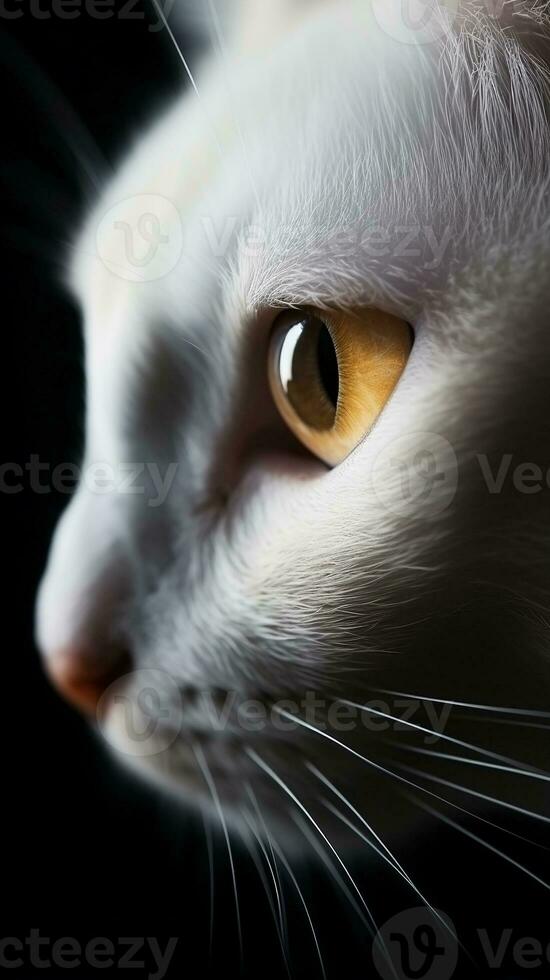 AI generated Closeup white cat eye, portrait of animal on dark background. Ai generated photo