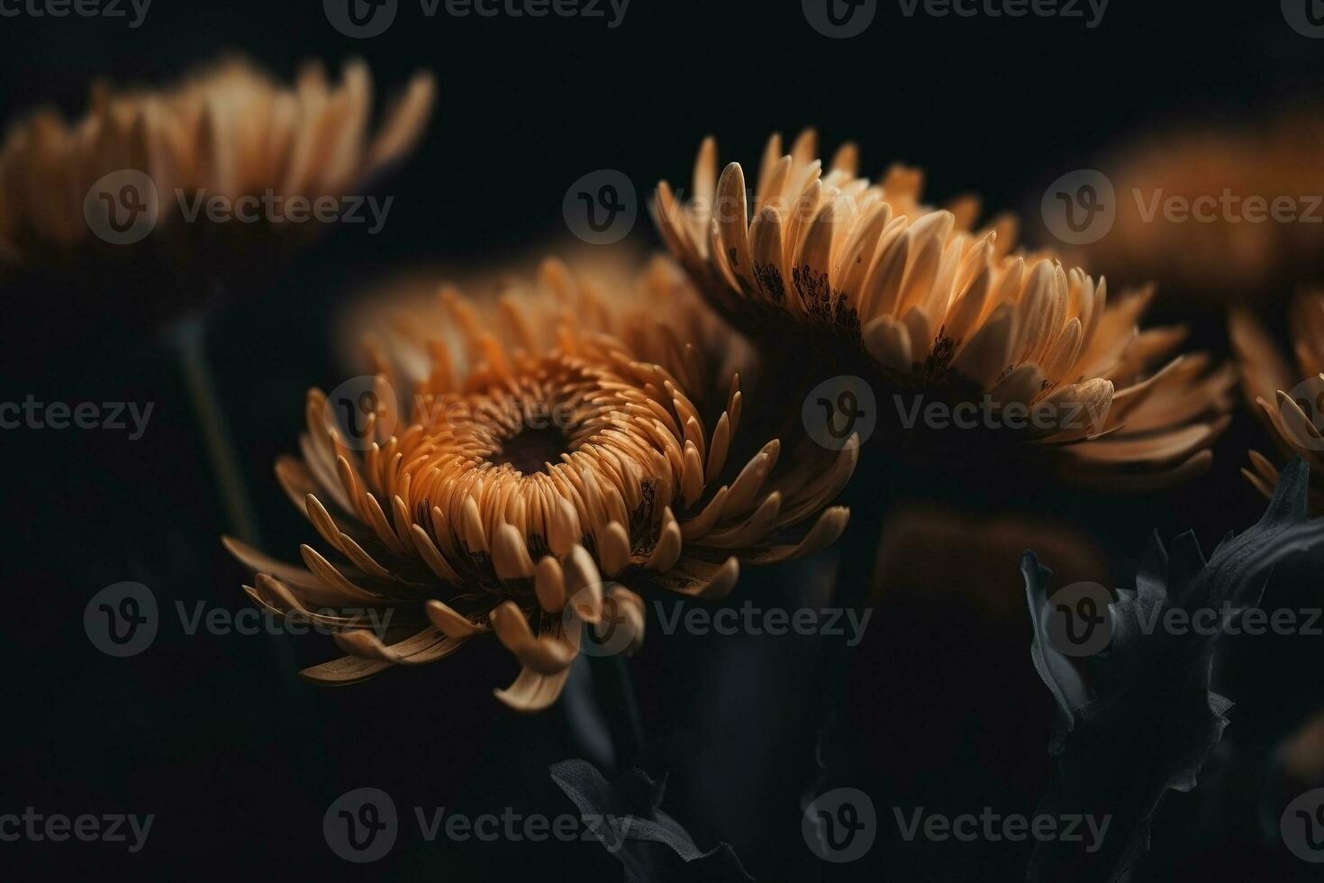 AI generated Flowers dark moody romantic background. Close-up floral banner. Ai generated photo