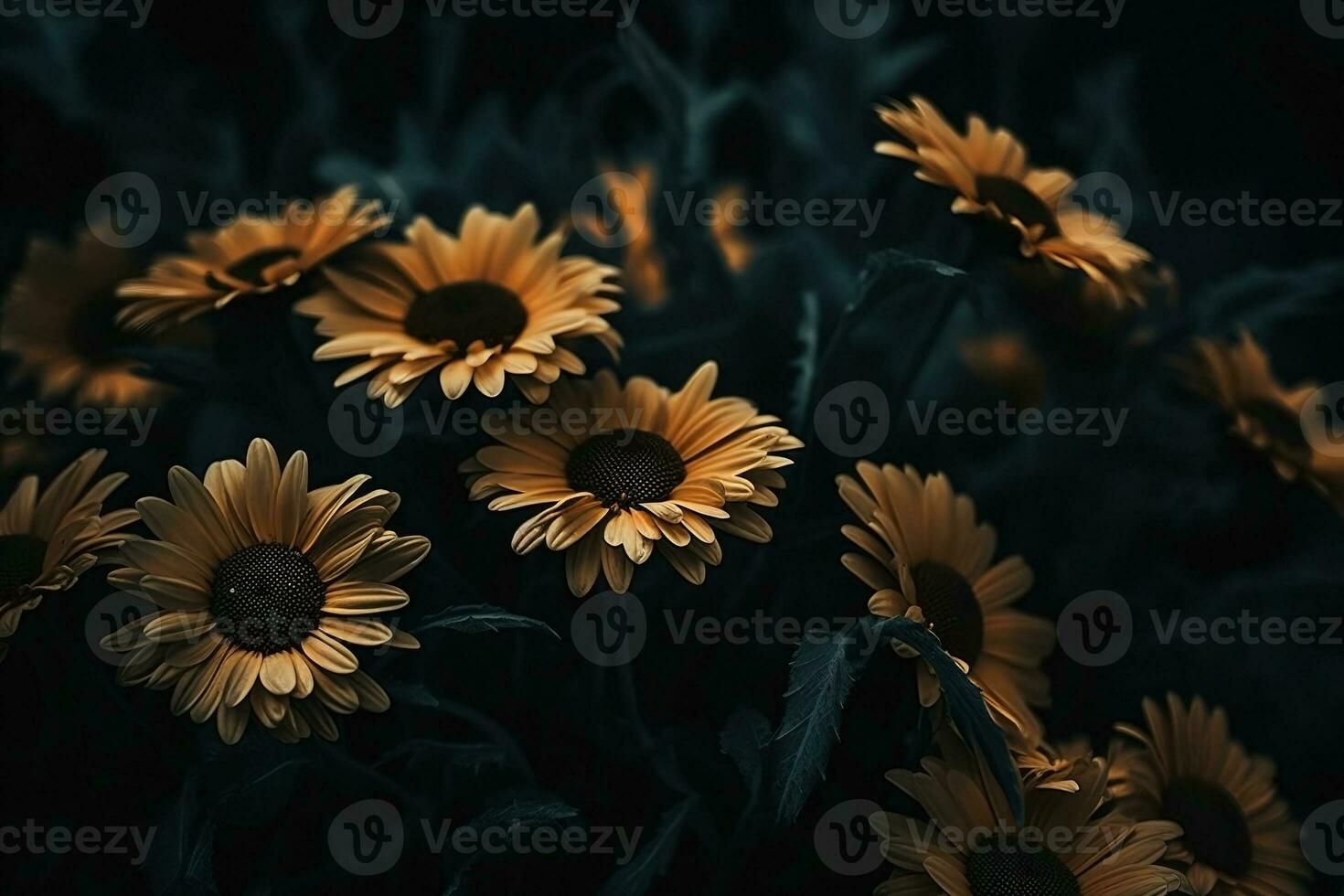 AI generated Flowers dark moody romantic background. Close-up floral card backdrop. Ai generated photo