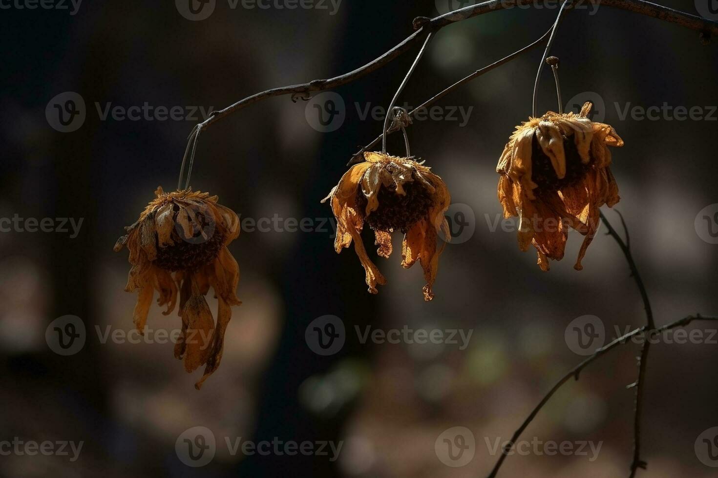 AI generated Dried flowers in the forest close-up. Autumn background photo