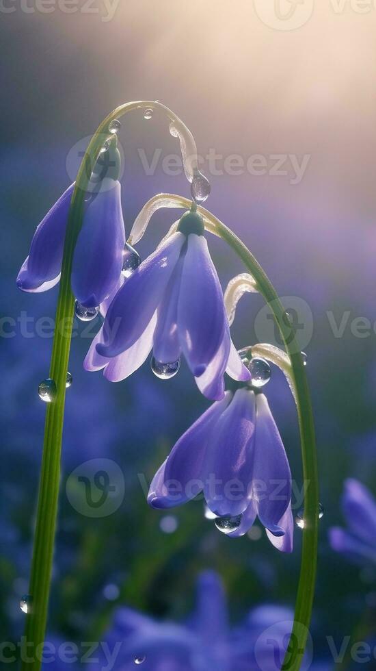 AI generated Blooming bluebell flowers with drops of water close-up background. Floral wallpaper. Ai generated photo
