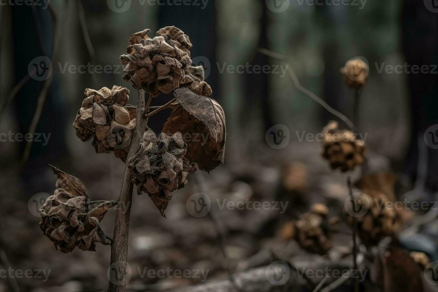 AI generated Dried flowers in the forest close-up. Autumn background photo