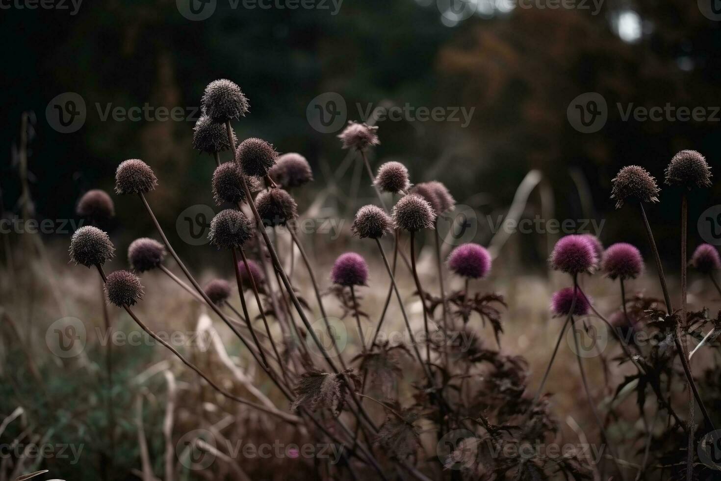 AI generated Dried flowers in the forest close-up. Autumn background photo