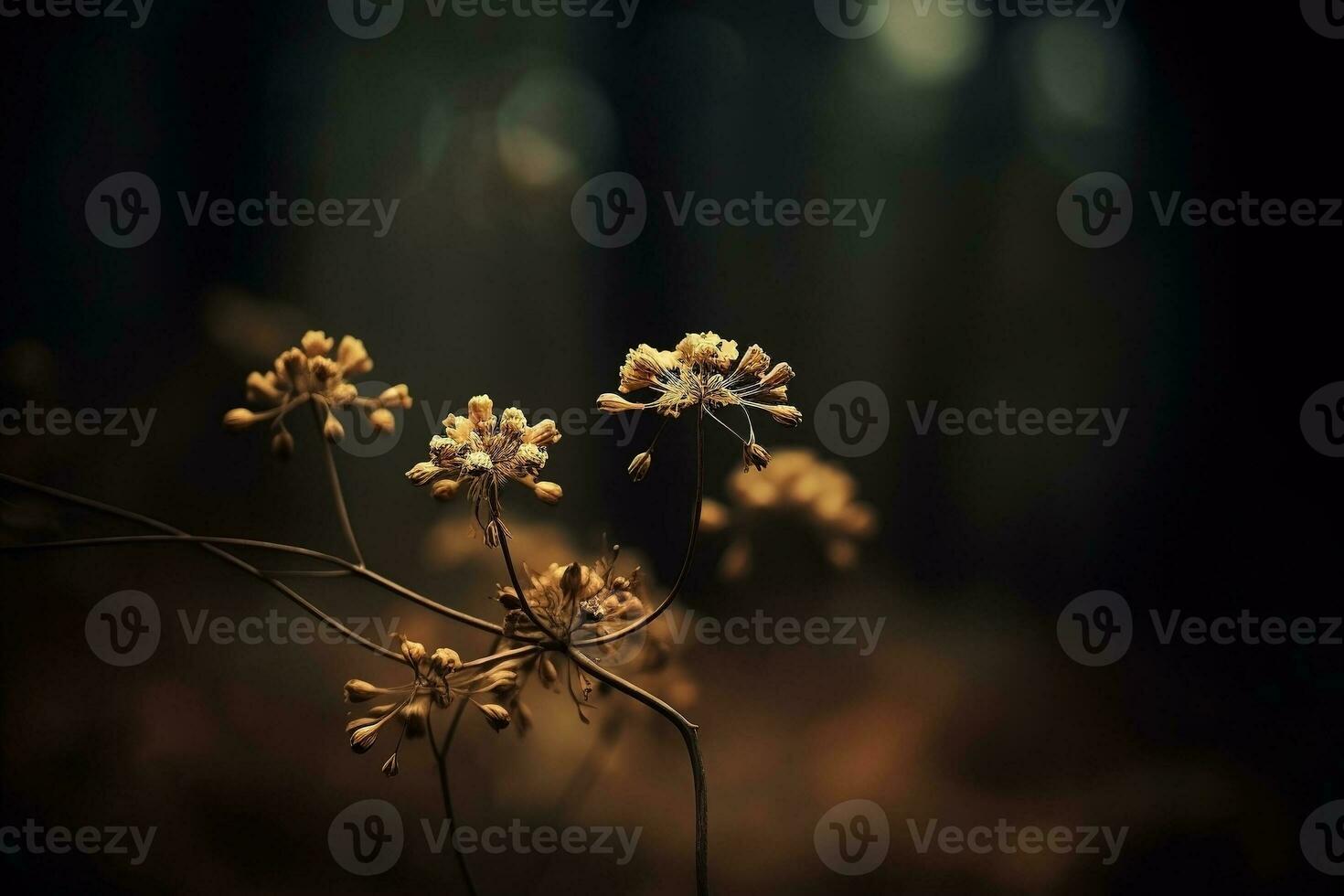 AI generated Dried flowers in the forest. Autumn background photo