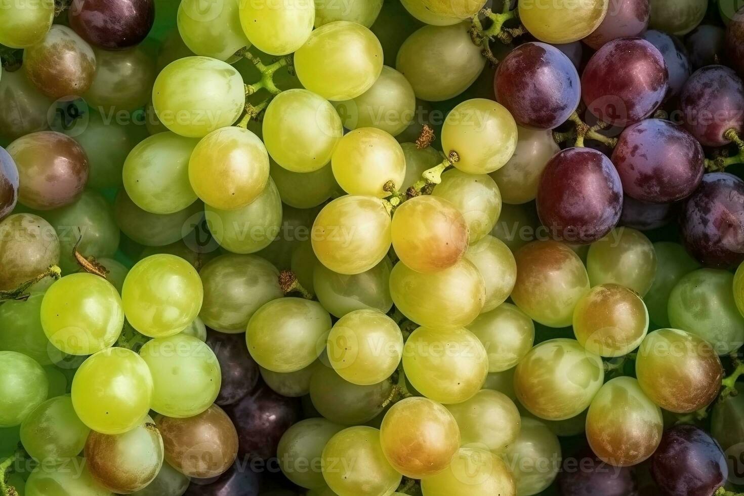 AI generated Green and black grapes as background. Top view of natural grape, full screen image photo