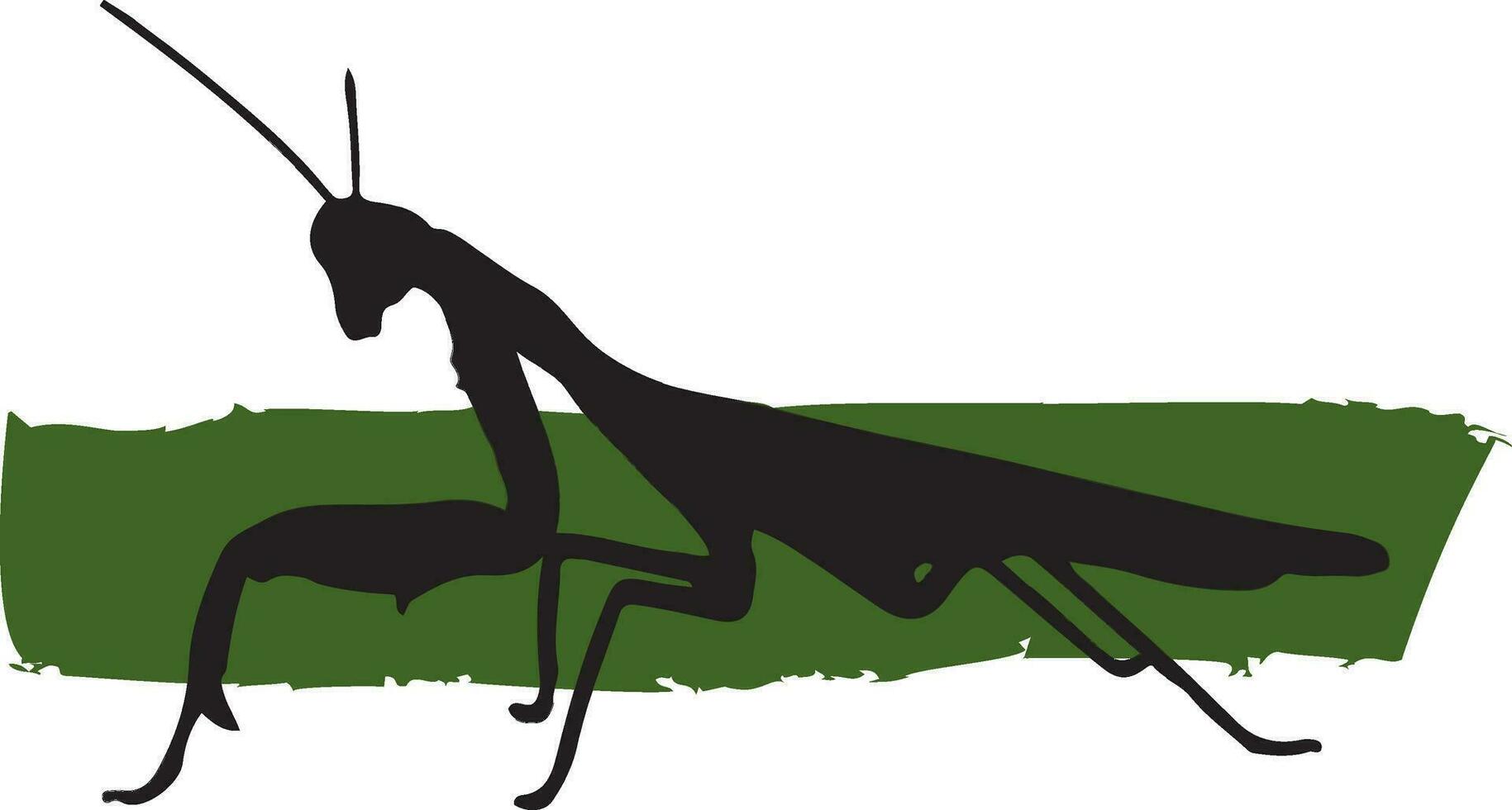 silueta de hembra Asia mantis con color pintar en blanco antecedentes. vector