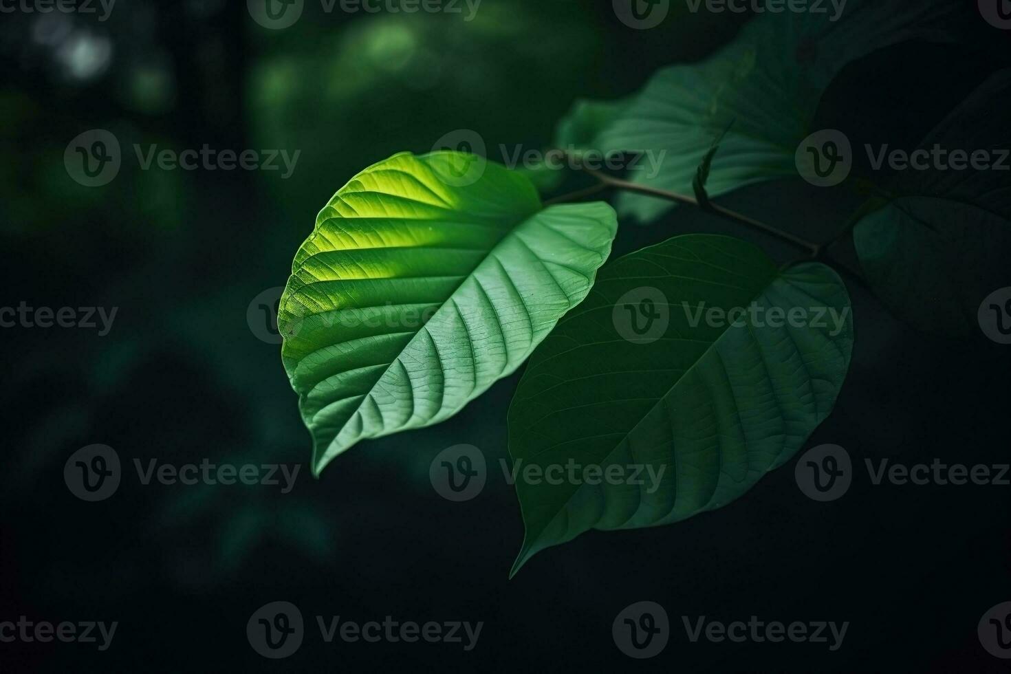 AI generated Dark moody green leaves summer background. Ai generated photo