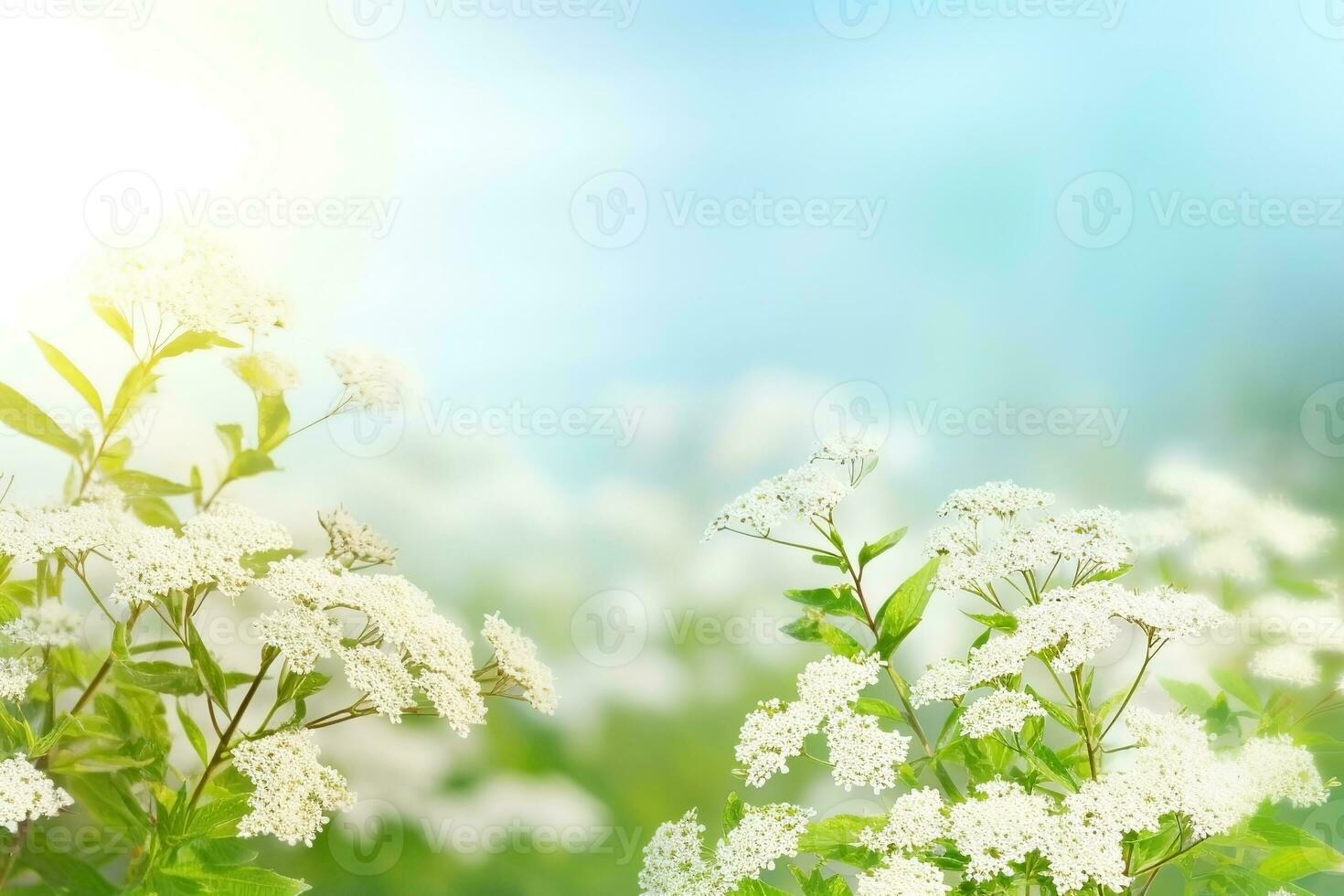 AI generated Summer nature background. Ai generated photo
