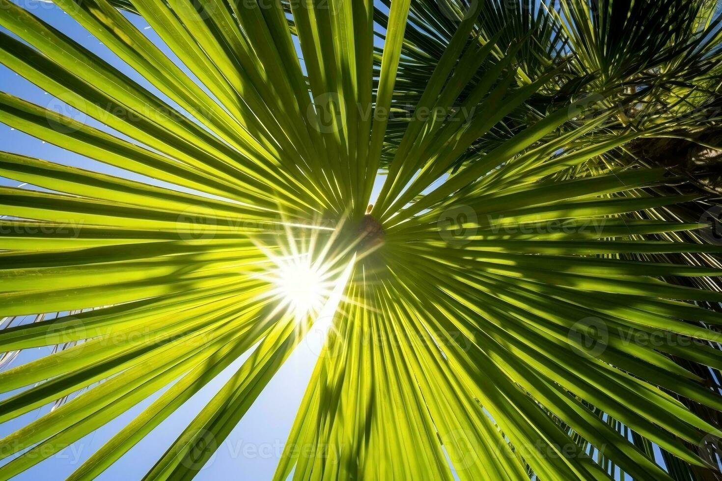 AI generated Tropical palm leaves close-up summer background. Ai generated photo