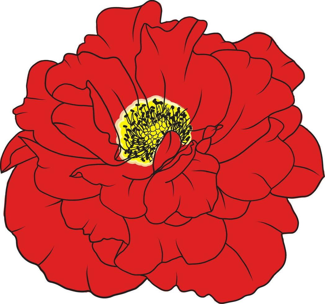 resumen línea Rosa flor son floreciente con rojo color dolor en vacío antecedentes. vector